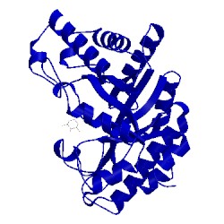 Image of CATH 2xyl