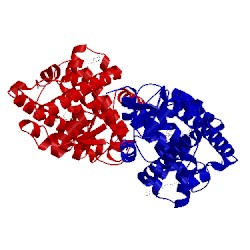 Image of CATH 2xyw