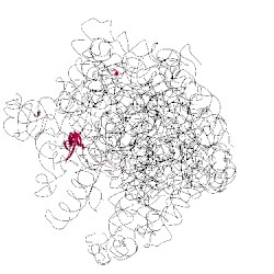 Image of CATH 2y19