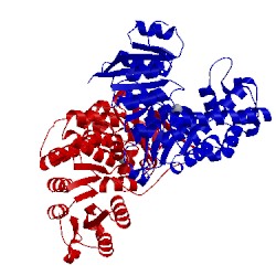 Image of CATH 2y1c