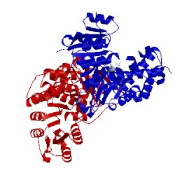 Image of CATH 2y1d