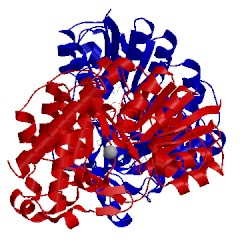 Image of CATH 2y1f