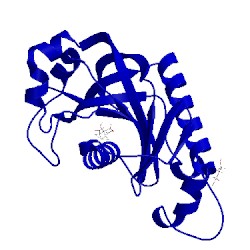 Image of CATH 2y1p