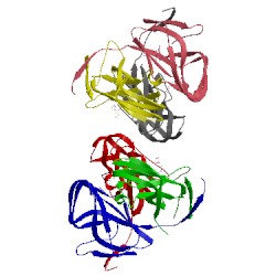 Image of CATH 2y1t