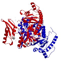 Image of CATH 2y27