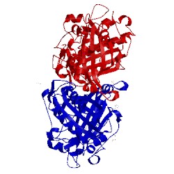 Image of CATH 2y4e