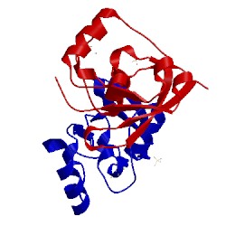 Image of CATH 2y5c