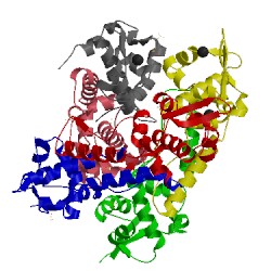 Image of CATH 2y75