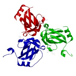 Image of CATH 2y8c
