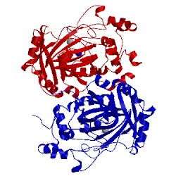 Image of CATH 2ybp