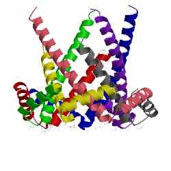 Image of CATH 2yf2