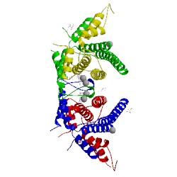 Image of CATH 2yfc