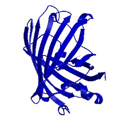 Image of CATH 2yfp