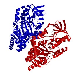 Image of CATH 2yg4