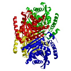 Image of CATH 2yh2