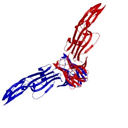 Image of CATH 2yhj