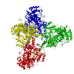 Image of CATH 2yib