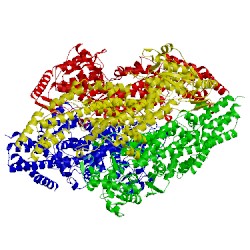 Image of CATH 2yii