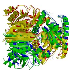 Image of CATH 2yim