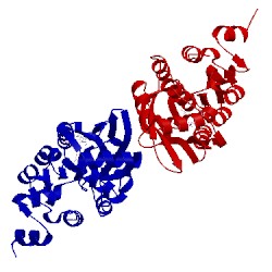 Image of CATH 2yj4