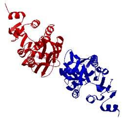 Image of CATH 2yj5