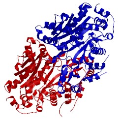 Image of CATH 2yl2