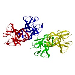 Image of CATH 2ylk
