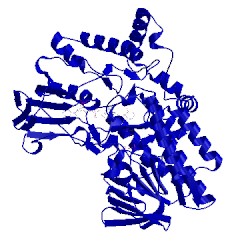 Image of CATH 2ylr
