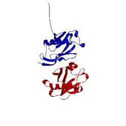 Image of CATH 2yma