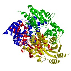 Image of CATH 2ymm