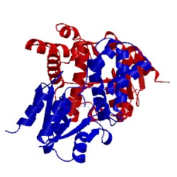 Image of CATH 2ymq