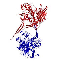 Image of CATH 2ymw