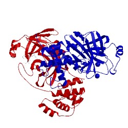 Image of CATH 2ynb