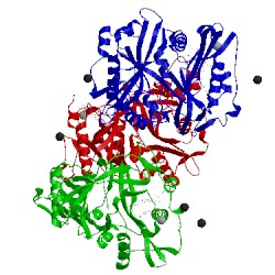 Image of CATH 2ync
