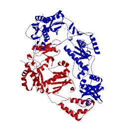 Image of CATH 2ynh