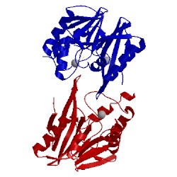 Image of CATH 2ynv