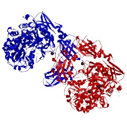 Image of CATH 2yoc