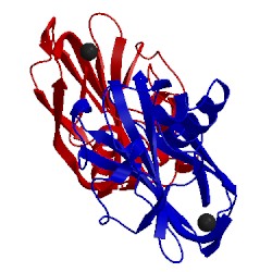 Image of CATH 2yox