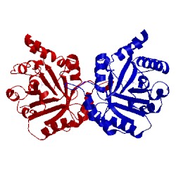 Image of CATH 2ypi