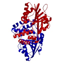 Image of CATH 2yr0