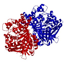 Image of CATH 2yr6