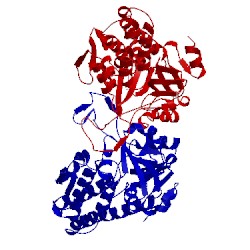 Image of CATH 2yrf