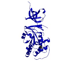 Image of CATH 2yv5