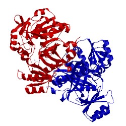 Image of CATH 2yw2