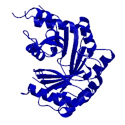 Image of CATH 2yx0