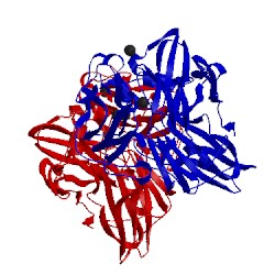 Image of CATH 2yxw