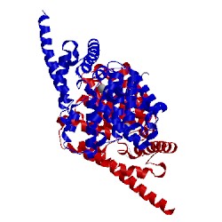 Image of CATH 2yy2