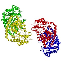 Image of CATH 2yy5