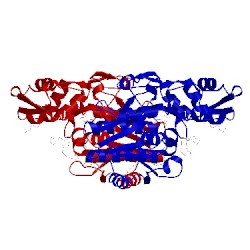 Image of CATH 2yy7
