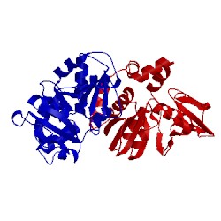 Image of CATH 2yyv